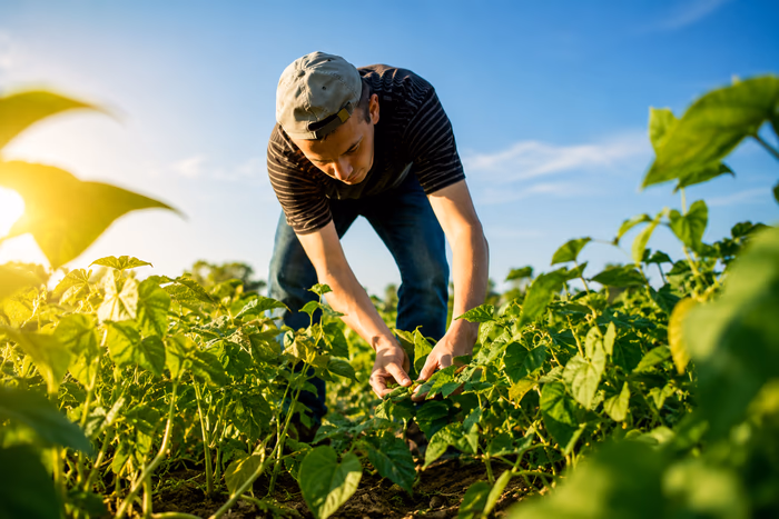 Agriculture